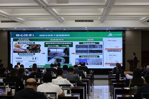 2025企創融通匯富硒產業專題現場活動成功舉辦，信息技術咨詢服務賦能產業升級