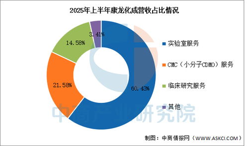2026年中國CXO醫藥外包行業市場前景預測研究報告 聚焦信息技術咨詢服務